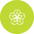 Icon Bot 2
